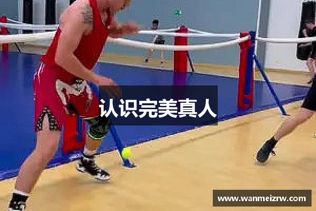认识完美真人